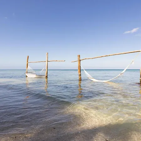 Sunscape Sabor Cozumel-3